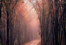 亚冬会丨新项目新体验 空中技巧双人同步中国队收获多2025-02-12.