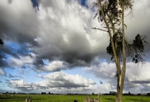 澳门新葡京娱乐城：17岁埃斯特旺热身时看到队友正穿鞋，挑球过队友.