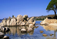 厌倦了不尊重戴维斯，丁威迪为独行侠队交易东契奇换来戴维斯辩护.